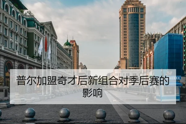 普尔加盟奇才后新组合对季后赛的影响