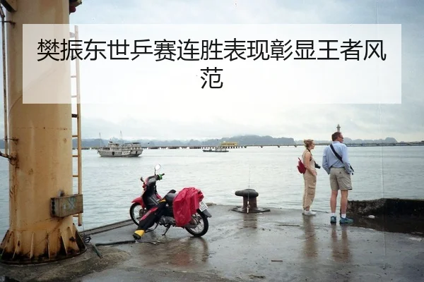 樊振东世乒赛连胜表现彰显王者风范